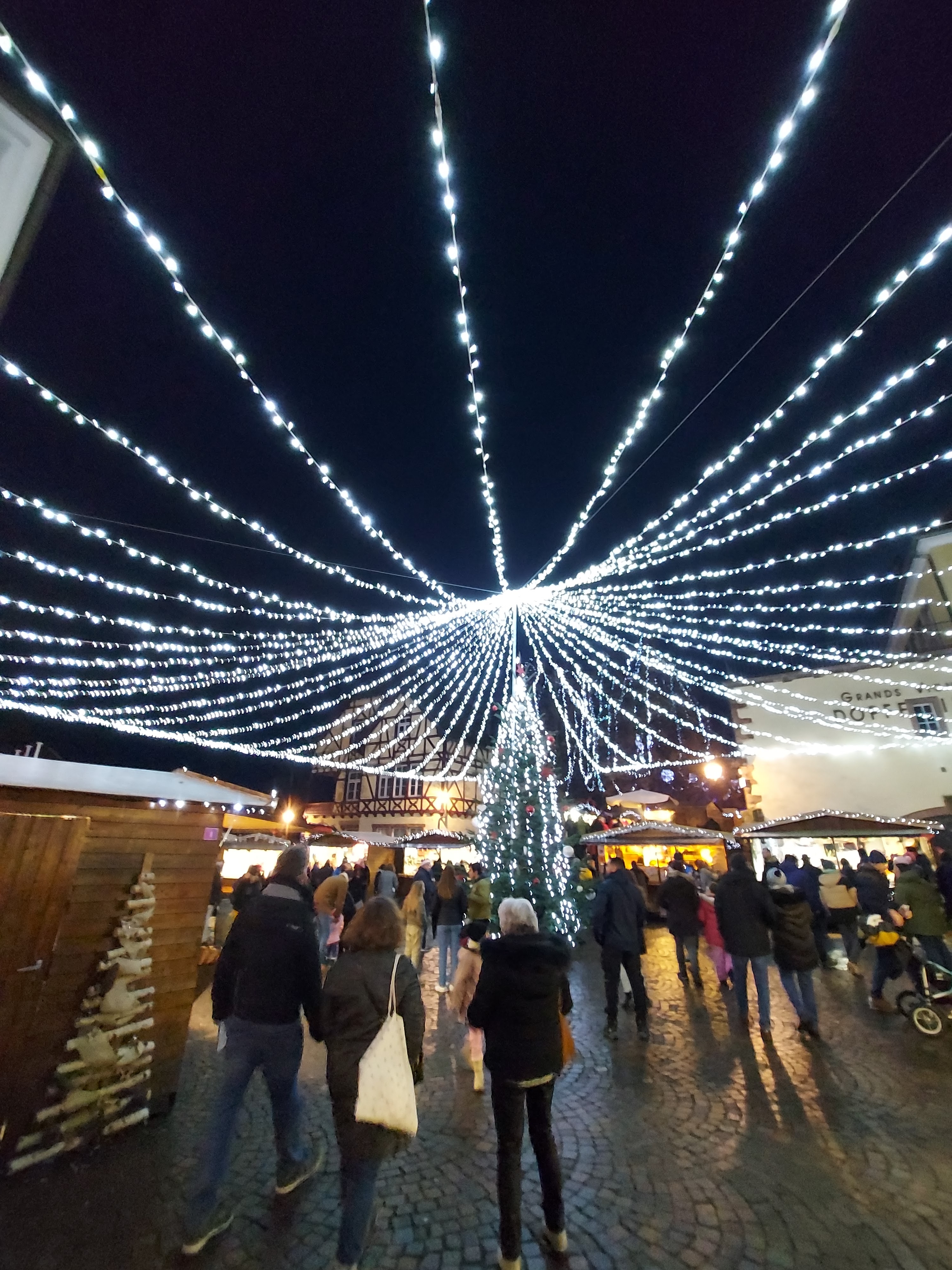 Photo n° 2 de l'avis de lysian.e fait le 25/12/2022 à 19:17