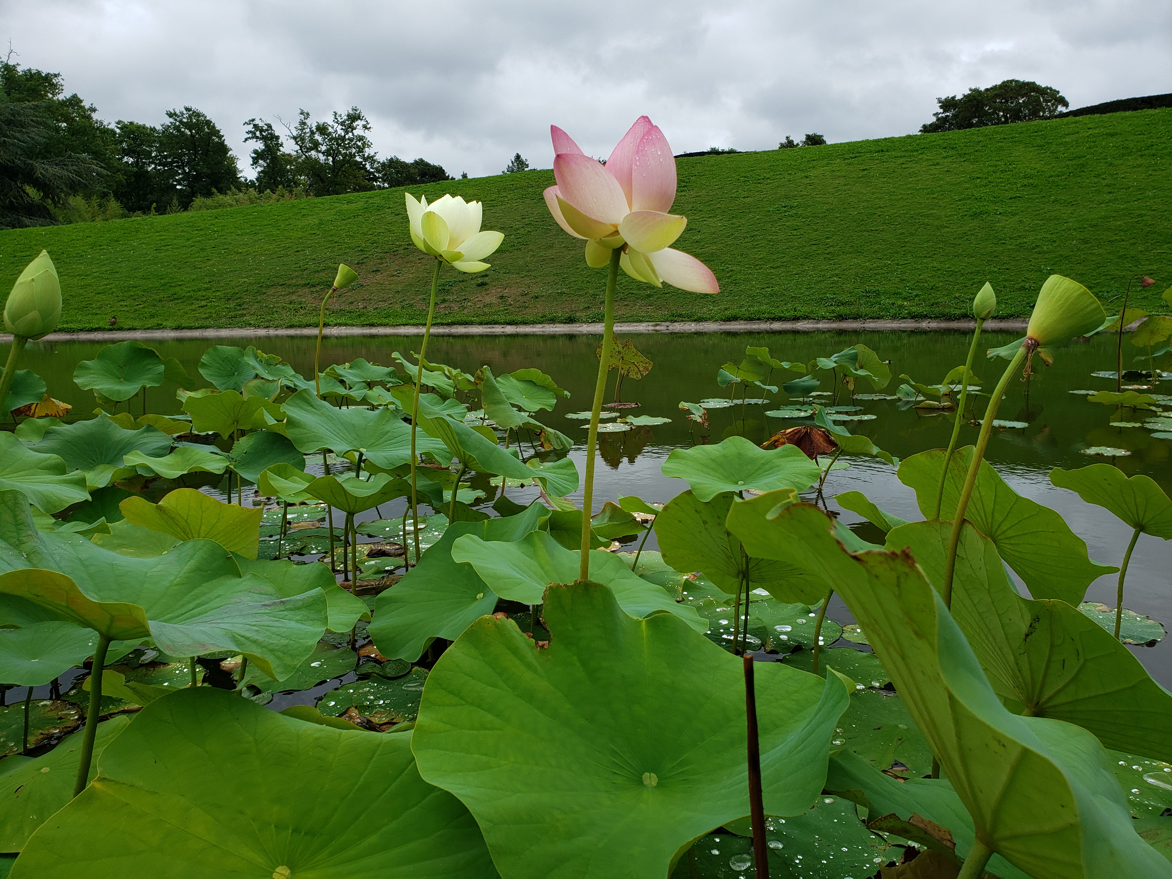 Photo n° 1 de l'avis de Alexandra.a fait le 26/09/2019 à 01:56