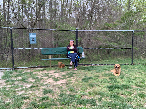 Dog Park «Perry Paw Dog Park», reviews and photos, 9033 Honeygo Blvd, Perry Hall, MD 21128, USA