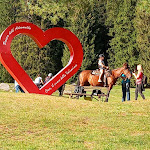 Photo n°1 de l'avis de romea.k fait le 01/08/2022 à 13:33 sur le  Sargas à Cevo