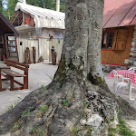 Photo n°5 de l'avis de Angelo.u fait le 02/06/2020 à 15:42 sur le  Chalet Al Lago à Cave del Predil, Tarvisio