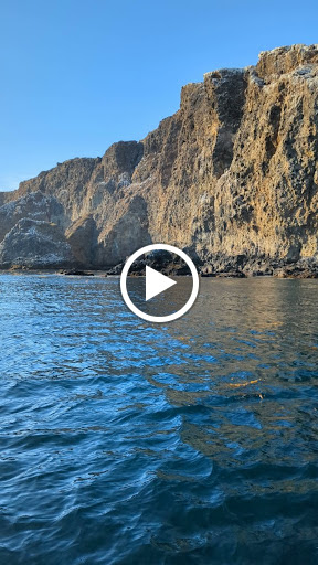 Island Packers Cruises - Oxnard image