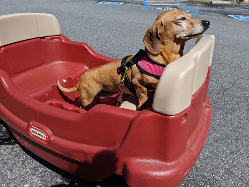 Shopping Mall «Crystal Springs Shopping Village», reviews and photos, 100 De Anza Blvd, San Mateo, CA 94402, USA