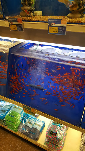 Pet Supply Store «PetSmart», reviews and photos, 5722 Fairmont Pkwy, Pasadena, TX 77505, USA