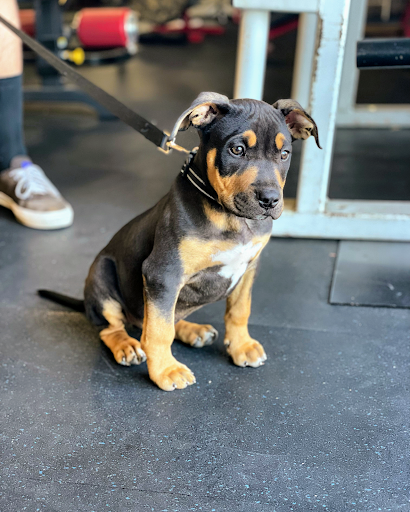 Gym «Gym», reviews and photos, 650 Farroll Rd, Grover Beach, CA 93433, USA