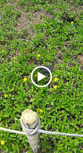 Miniature Golf Course «Congo River Golf», reviews and photos, 20060 US-19, Clearwater, FL 33764, USA