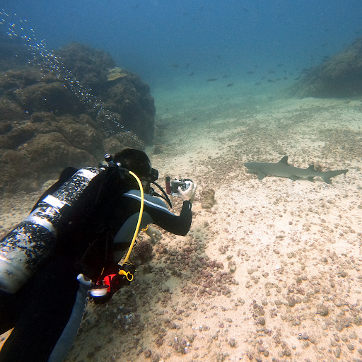 EXPEDITION COIBA PANAMA