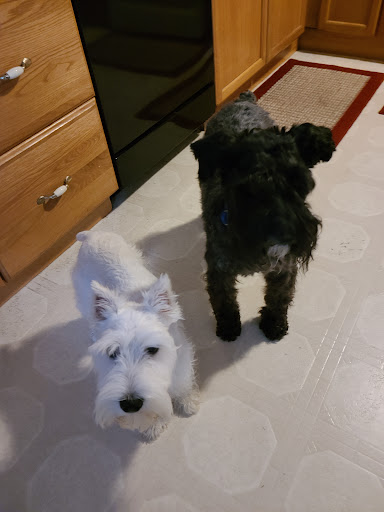 620 Happy Acres Rd, Chesapeake, VA 23323, USA