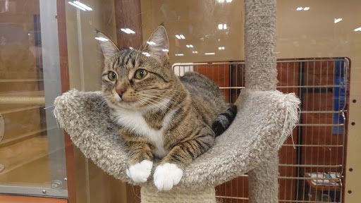 Pet Supply Store «PetSmart», reviews and photos, 2325 S Stemmons Fwy, Lewisville, TX 75067, USA