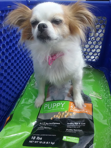 Pet Supply Store «PetSmart», reviews and photos, 2997 Max Ave, Bozeman, MT 59718, USA