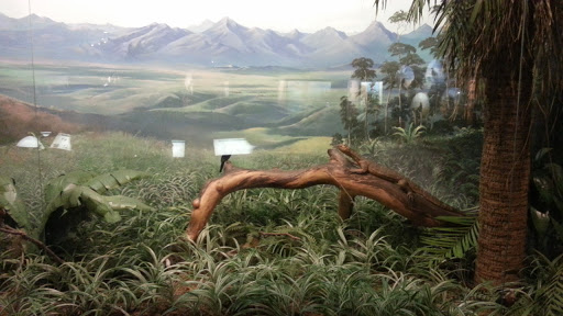 Museum «Delaware Museum of Natural History», reviews and photos, 4840 Kennett Pike, Wilmington, DE 19807, USA