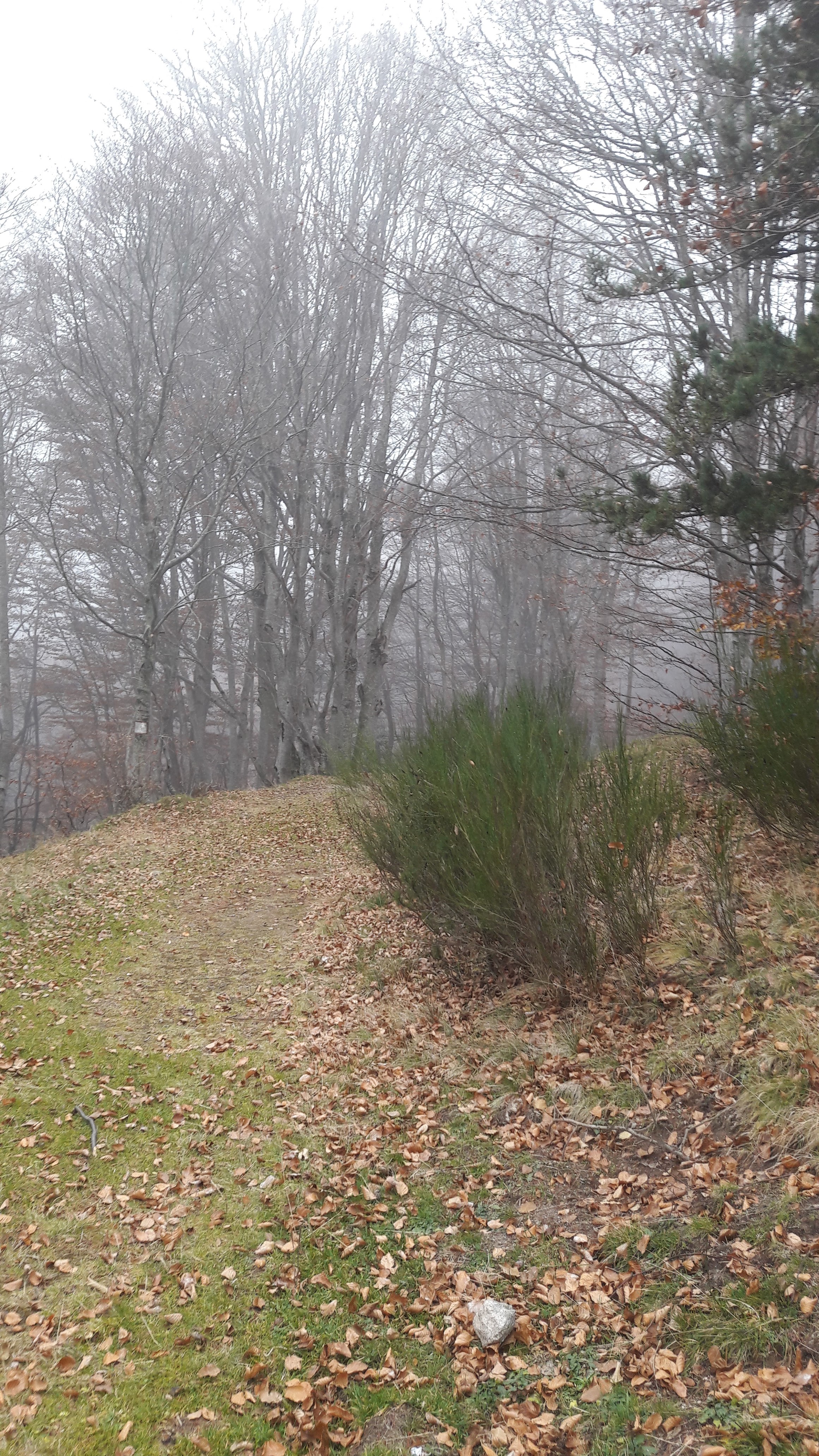 Photo n° 9 de l'avis de Pierre.e fait le 13/11/2018 à 17:49