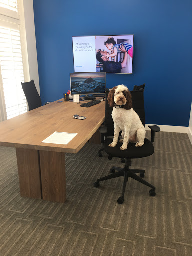 Insurance Agency «Allstate Insurance Agent: Ted A. Todd», reviews and photos