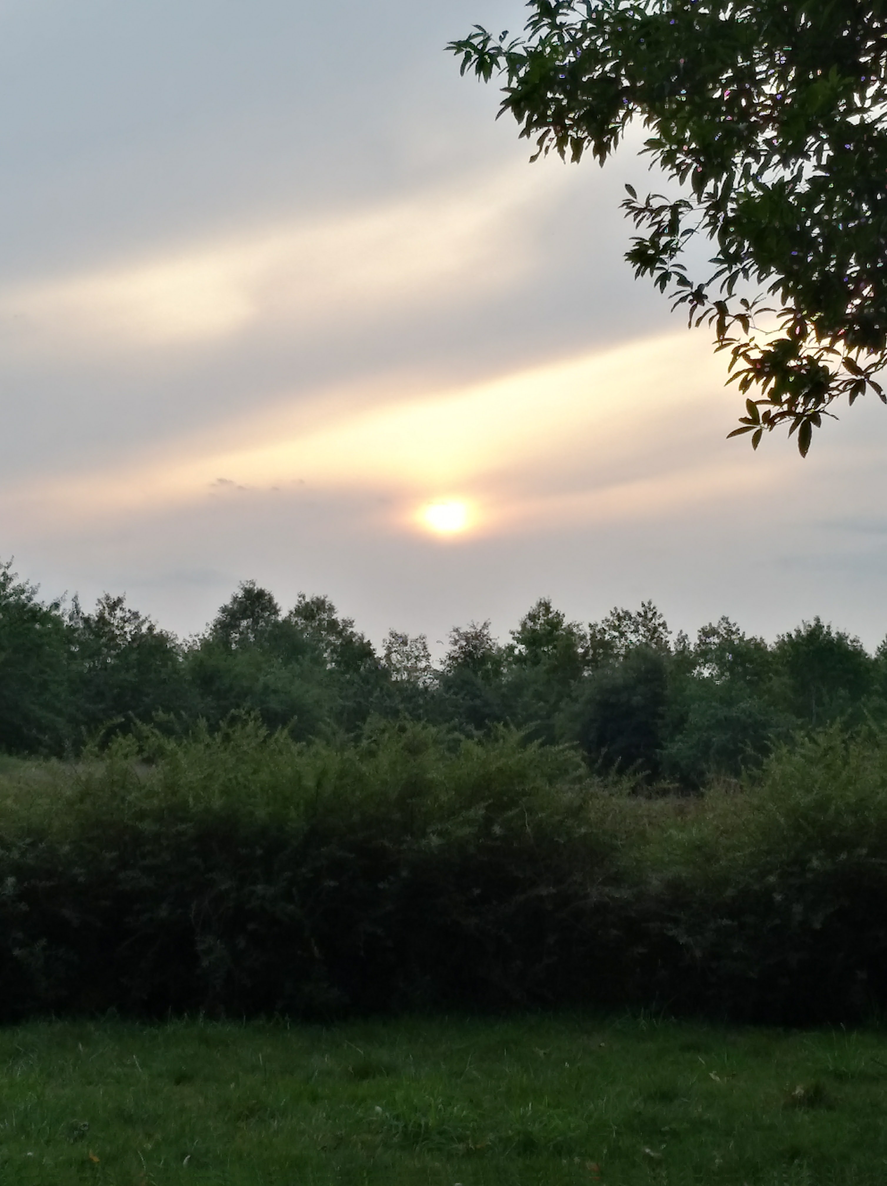 Photo n° 2 de l'avis de Hajer.o fait le 30/08/2017 à 20:21