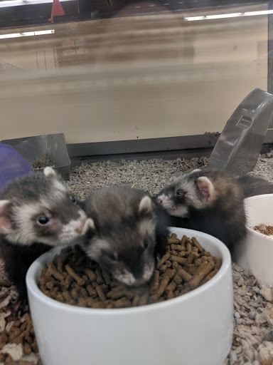 Pet Supply Store «Petco Animal Supplies», reviews and photos, 340 Leonardwood Dr, Frankfort, KY 40601, USA