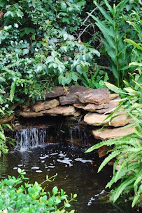 Scattered Showers Irrigation & Landscape Maint. - Photo 8 - Car repair in Biloxi, MS, Gulfport