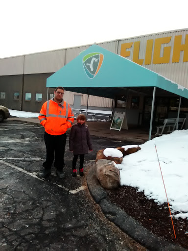 Amusement Center «Flight Trampoline Park New Britain», reviews and photos, 140 Production Ct, New Britain, CT 06051, USA