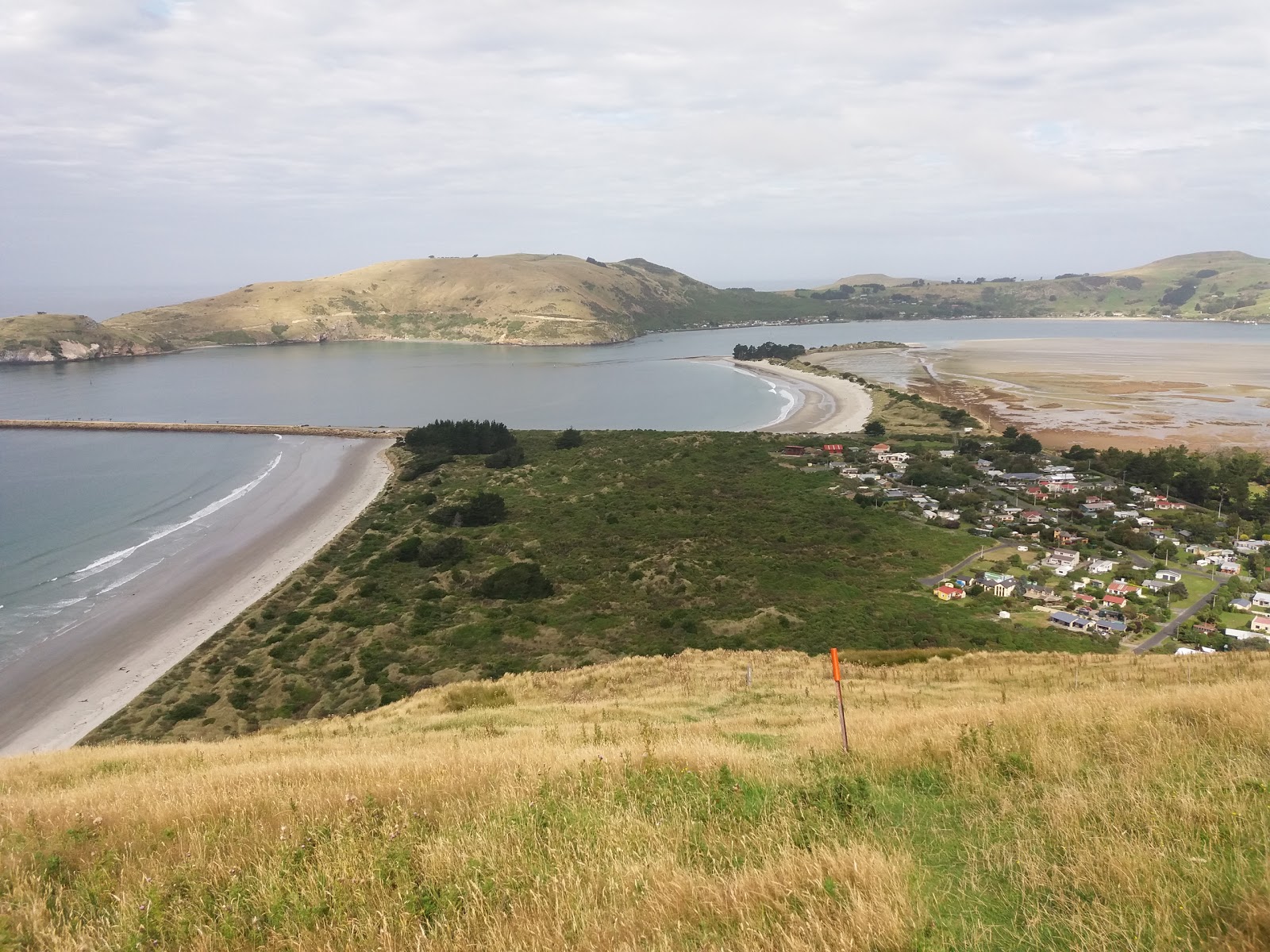 Aramoana Beach'in fotoğrafı düz ve uzun ile birlikte