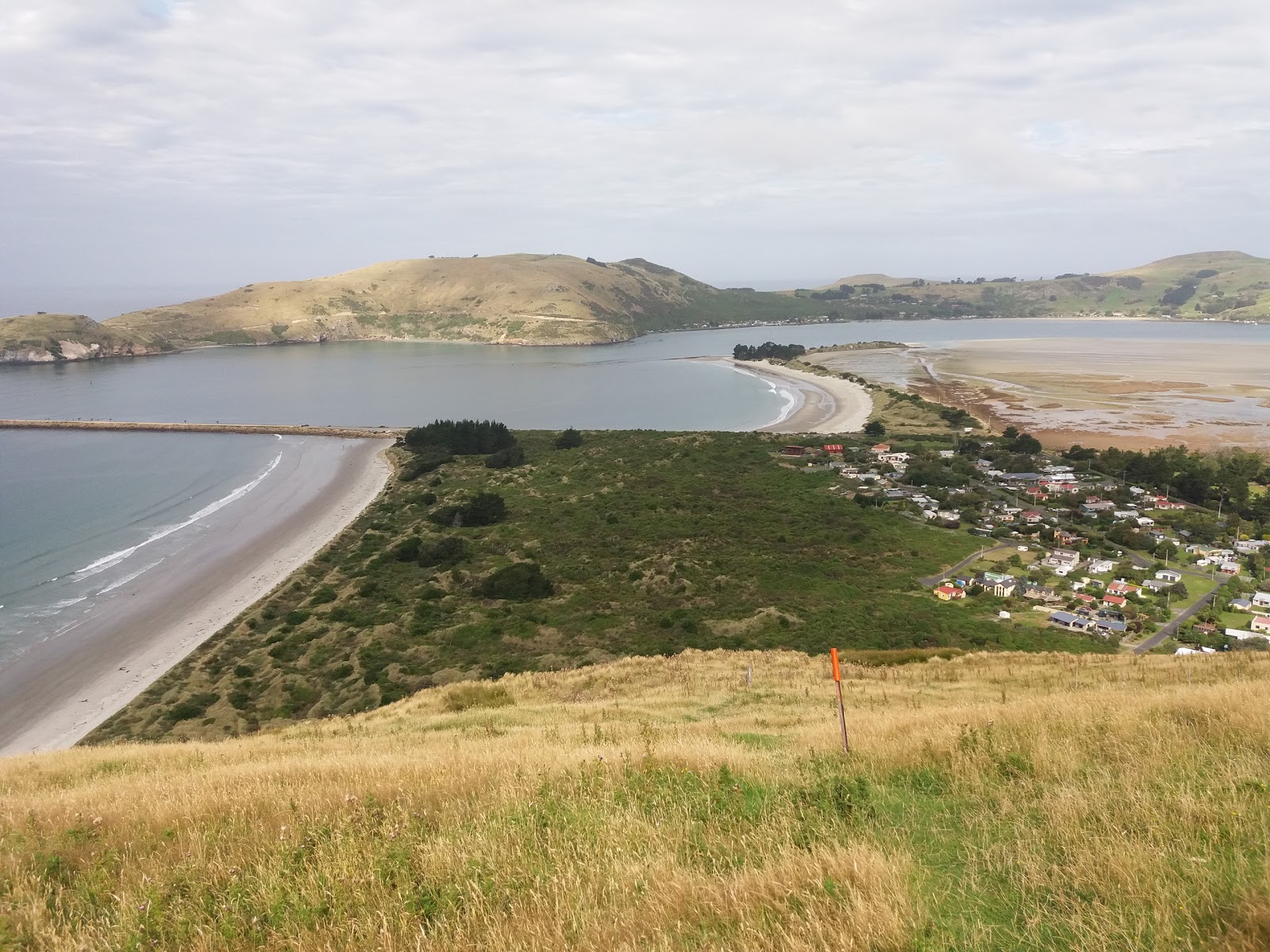 Photo de Aramoana Beach avec l'eau turquoise de surface