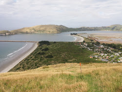 Aramoana Beach'in fotoğrafı düz ve uzun ile birlikte