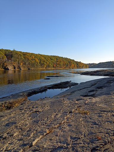 Tourist Attraction «Dinosaur Footprints», reviews and photos, US-5, Holyoke, MA 01040, USA