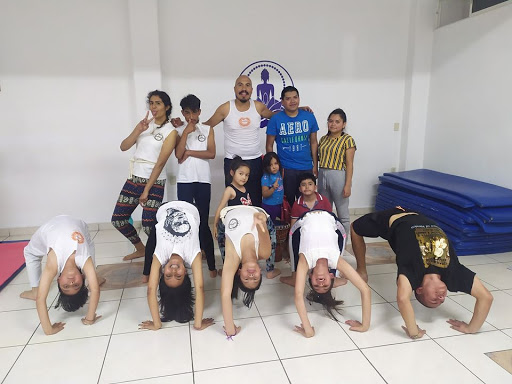 YOGA CAPOEIRA TAICHI MEDITACION