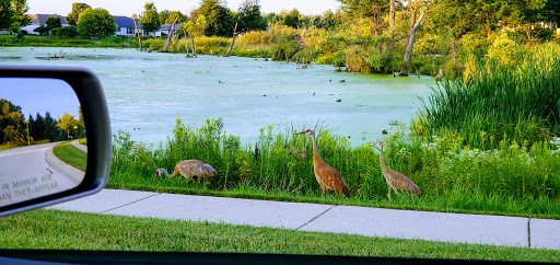 Golf Club «Whisper Creek Golf Course», reviews and photos, 12840 Del Webb Blvd, Huntley, IL 60142, USA