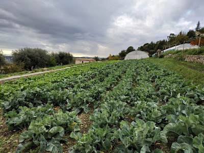 Le Marché Bio de St Jeannet à Saint-Jeannet