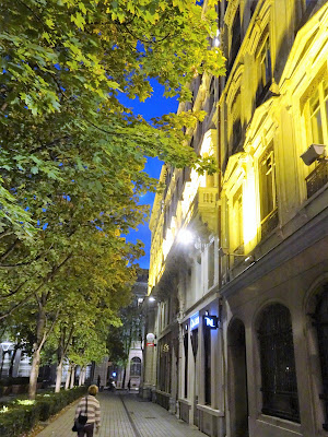 location meublée immobilière labourselyon à Lyon