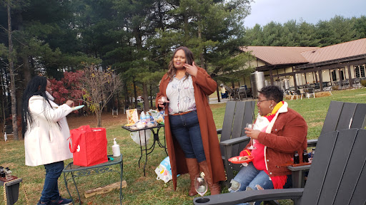 Vineyard «North Gate Vineyard», reviews and photos, 16031 Hillsboro Rd, Purcellville, VA 20132, USA