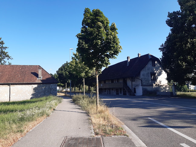 Herrenweg 2, 4500 Solothurn, Schweiz