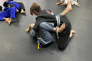 Cascao Vallarta Jiu Jitsu School image