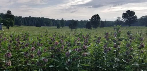 Battle Site «Spotsylvania Court House Battlefield», reviews and photos, 9550 Grant Dr, Spotsylvania, VA 22553, USA