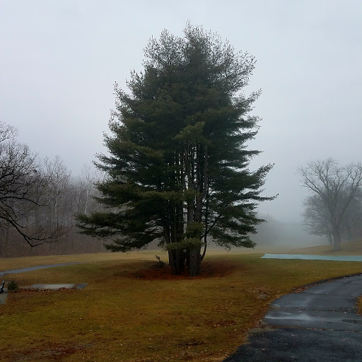 Golf Course «Hop Brook Golf Course», reviews and photos, 615 Church St, Naugatuck, CT 06770, USA