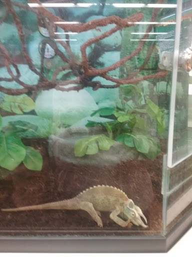 Pet Supply Store «Petco Animal Supplies», reviews and photos, 1619 SE Ensign Ln, Warrenton, OR 97146, USA