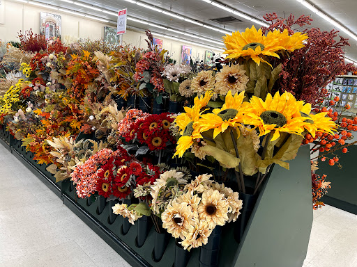 Craft Store «Hobby Lobby», reviews and photos, 2400 SW College Rd #500, Ocala, FL 34471, USA