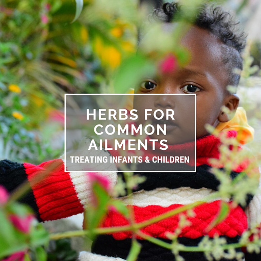 Baby Store «Natural Resources», reviews and photos, 1367 Valencia St, San Francisco, CA 94110, USA