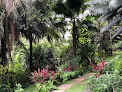 Mejores Garden En Guayaquil Cerca De Ti