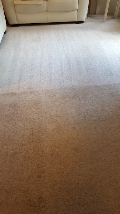 EVERDRY CARPET & UPHOLSTERY CLEANING
