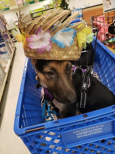 Pet Supply Store «PetSmart», reviews and photos, 8537 W Grand River Ave, Brighton, MI 48116, USA