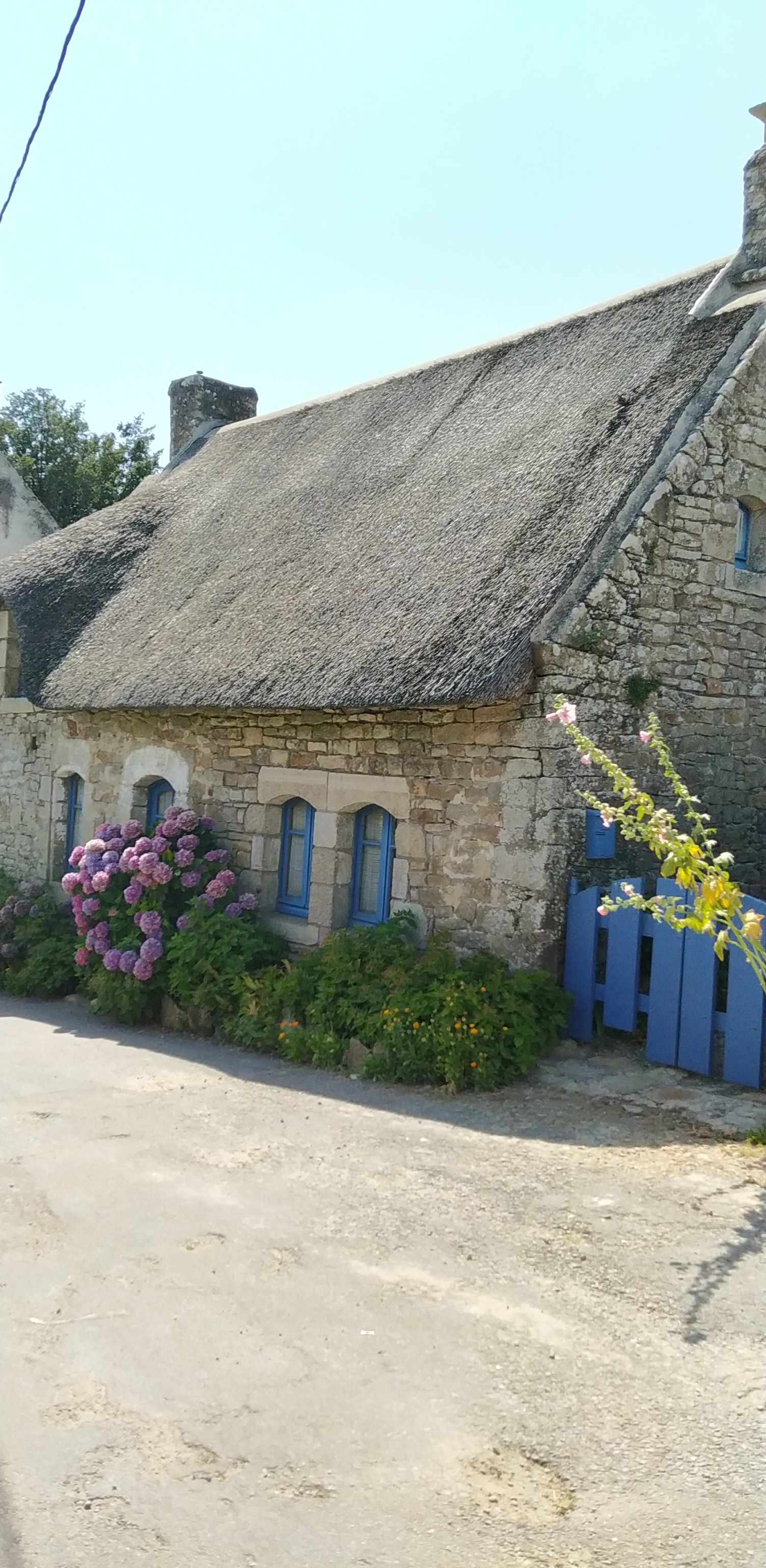 Photo n° 1 de l'avis de Amon. fait le 13/09/2020 à 13:13