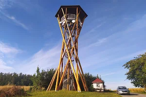 Blueberry lookout Tower image