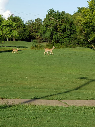 Golf Course «Beacon Lakes Golf Club - OPEN to the PUBLIC», reviews and photos, 801 FM646, Dickinson, TX 77539, USA