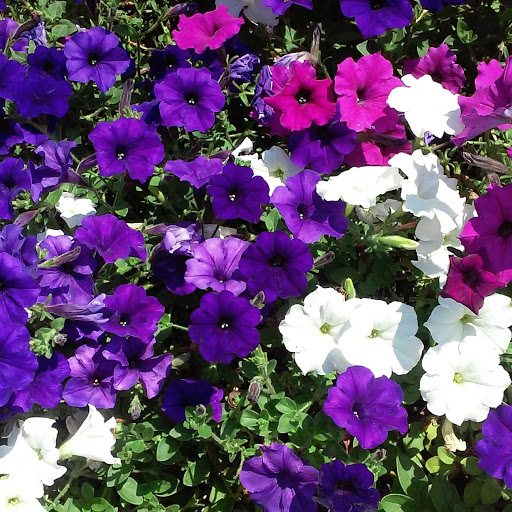 Bowling Alley «The Corner Alley Uptown @ University Circle», reviews and photos, 11409 Euclid Ave, Cleveland, OH 44106, USA