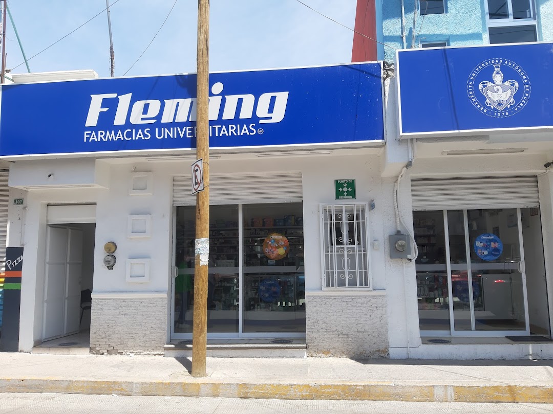 FARMACIAS FLEMING ACATZINGO