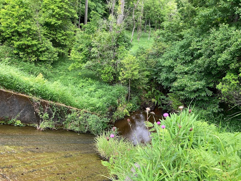 やなが沢池(北山湿地入口付近)