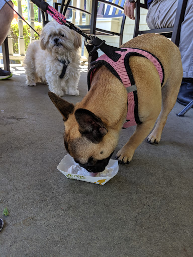 Ice Cream Shop «Country Whip Inc», reviews and photos, 1173 Main St, Acushnet, MA 02743, USA