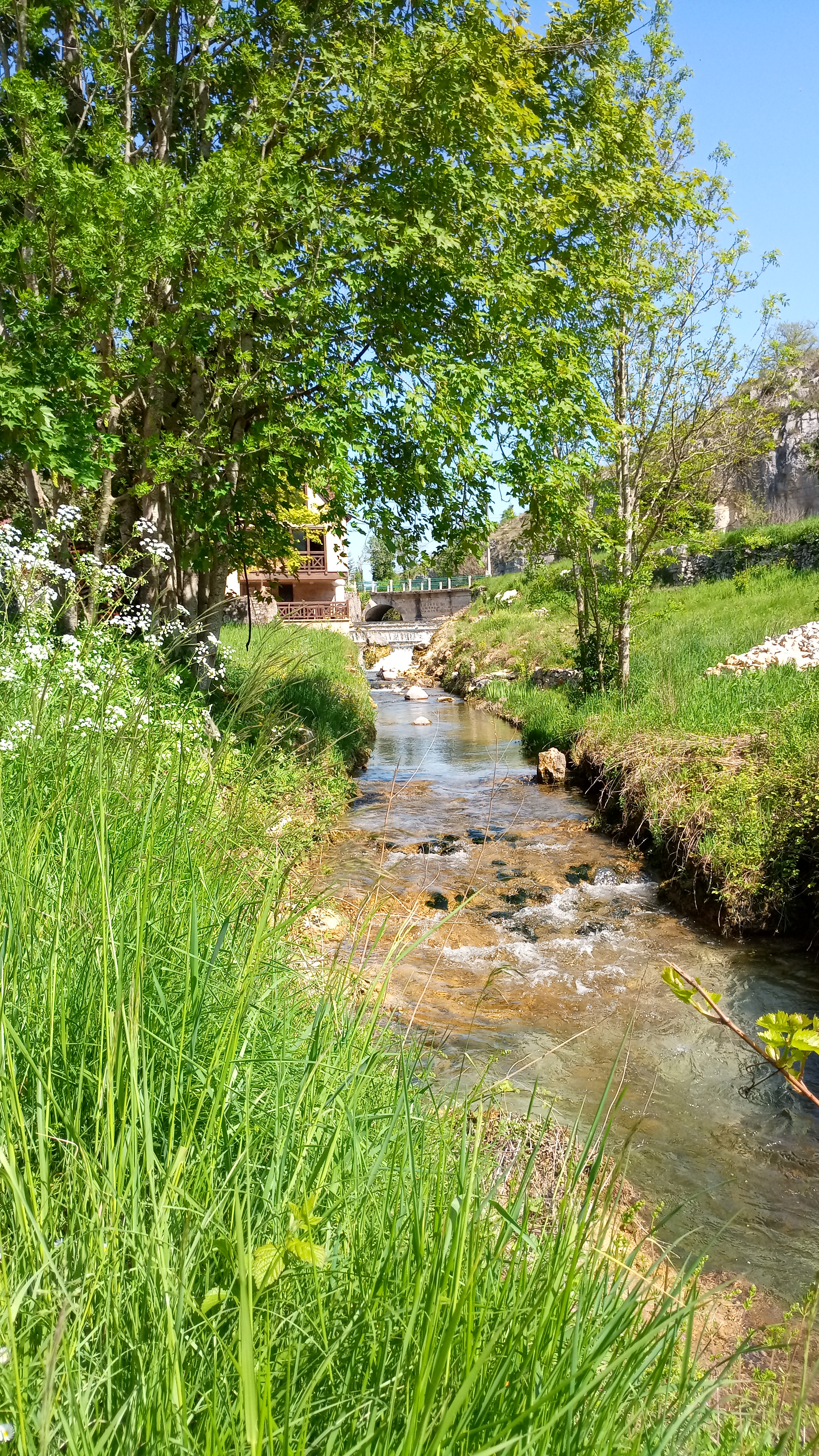 Photo n° 25 de l'avis de jean-françois.4 fait le 01/05/2022 à 15:48