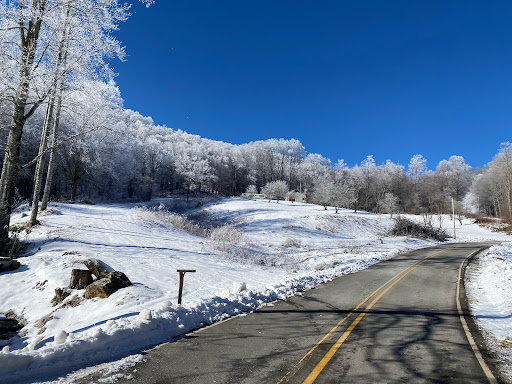 Discount Store «Dollar General», reviews and photos, 117 Winters St, Elk Park, NC 28622, USA