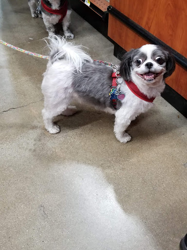 Sporting Goods Store «Big R of Homer Glen», reviews and photos, 15830 S Bell Rd, Homer Glen, IL 60491, USA